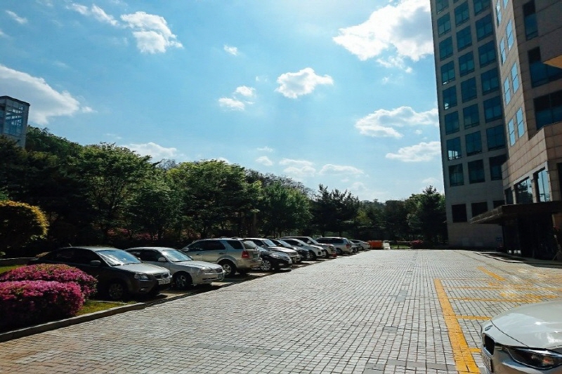 더그레이스켈리